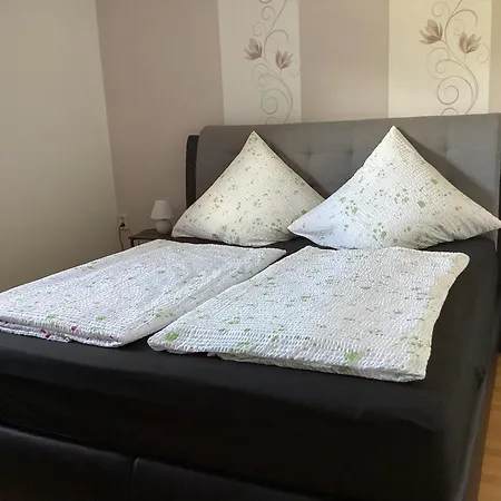 Apartmán Zuckelberg *